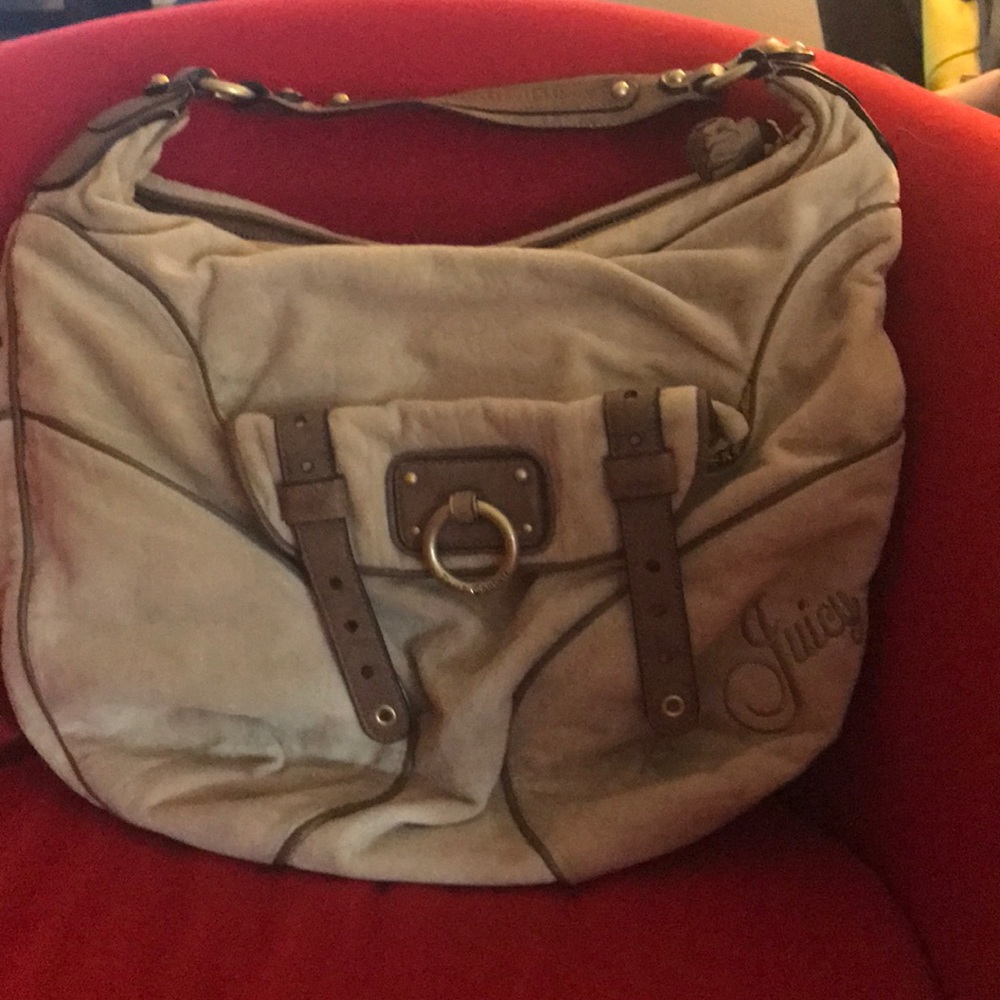 Juicy Hobo Bag